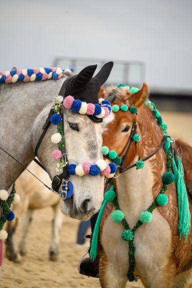 Twee versierde paarden met kleurrijke decoraties staan dichtbij elkaar.