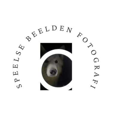 logo Speelse Beelden